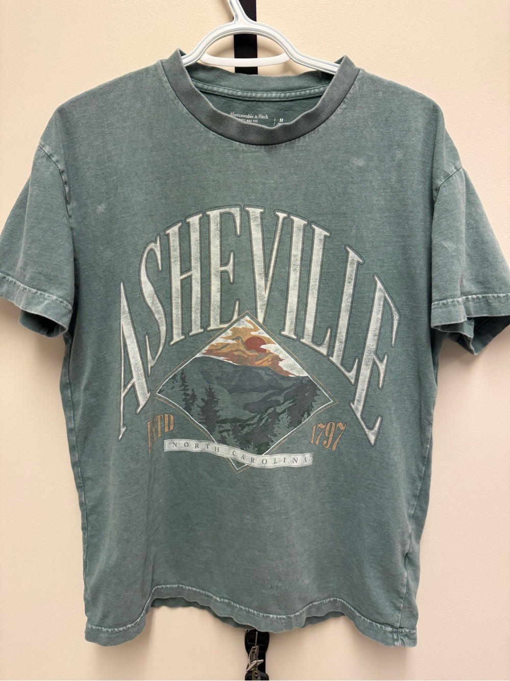 Abercrombie & Fitch Asheville Graphic Tee - Faded Teal Green